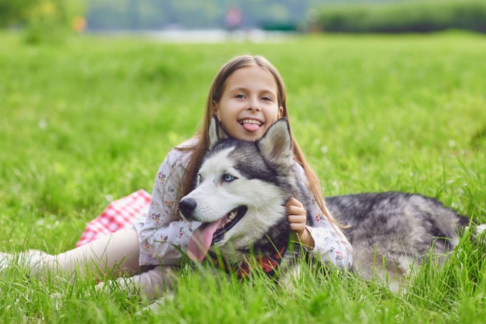 Fata si Husky siberian