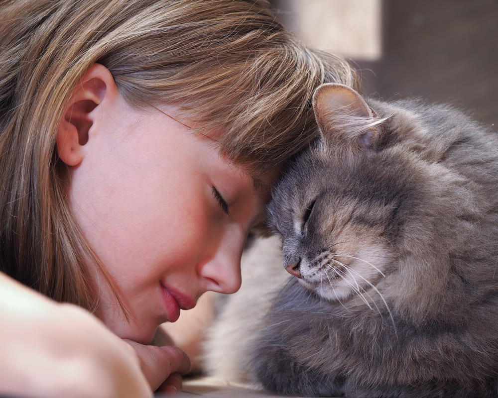 9 moduri în care pisicile își arată iubirea față de stăpâni
