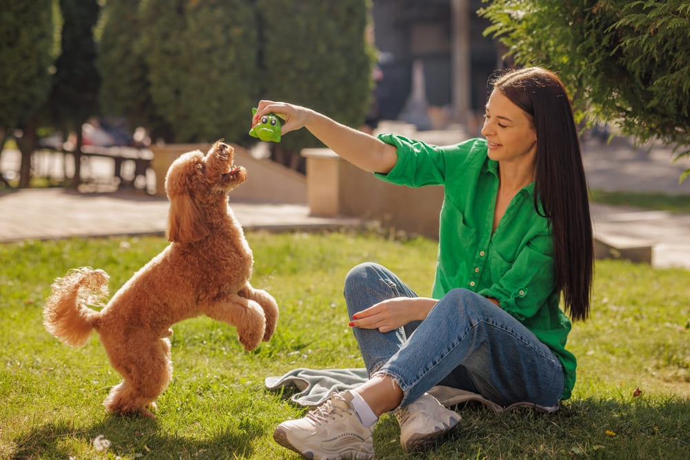 Top 7 jucării pentru căței activi care adoră să roadă – rezistente, interactive și sigure