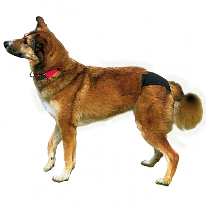 Chiloti de Protectie TRIXIE Negru M,Nr.0, 40–49 cm – DELISTAT [2]