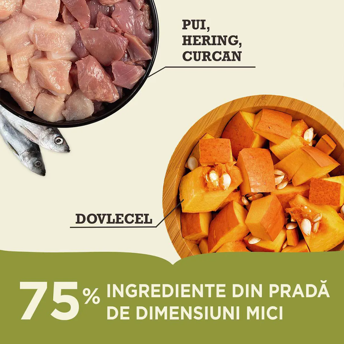 Hrană Uscată Pisică Junior, ACANA First Feast, Pui și Hering, 1.8kg [5]