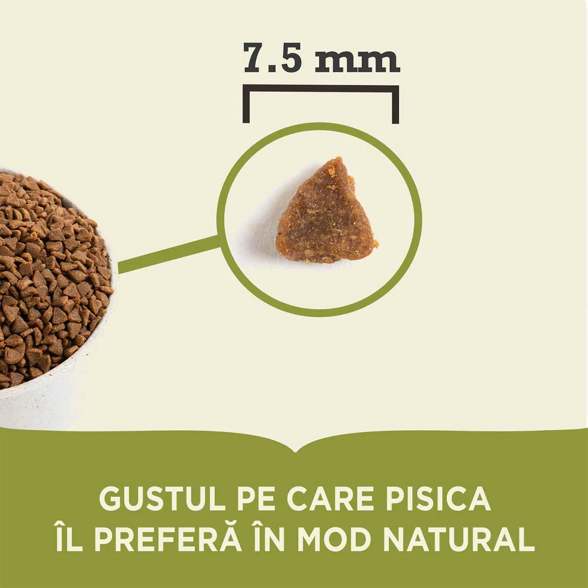 Hrană Uscată Pisică Junior, ACANA First Feast, Pui și Hering, 1.8kg [3]