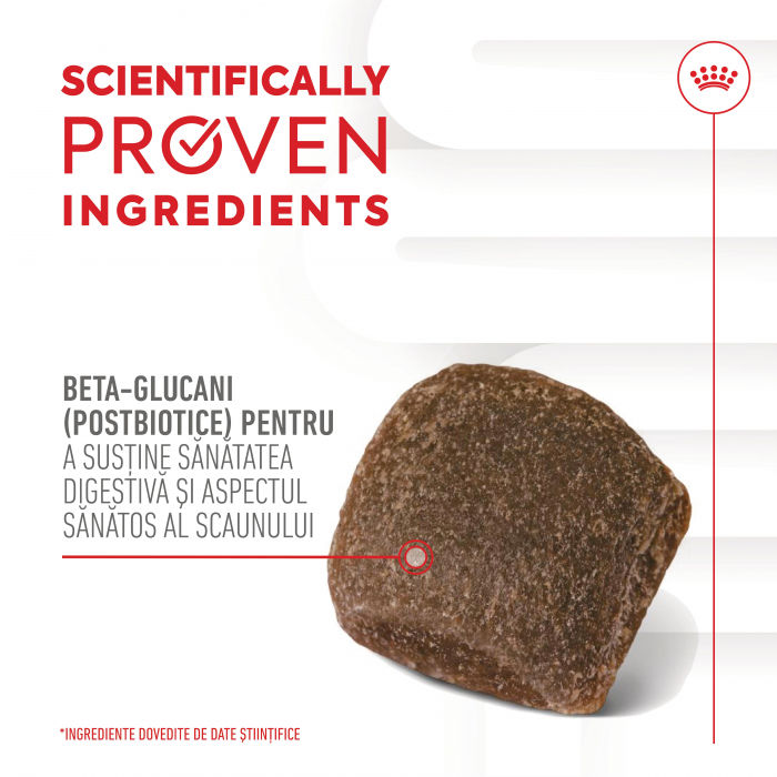 Suplimente Masticabile, ROYAL CANIN Digestion Chews Adult Supplements, 160g [3]