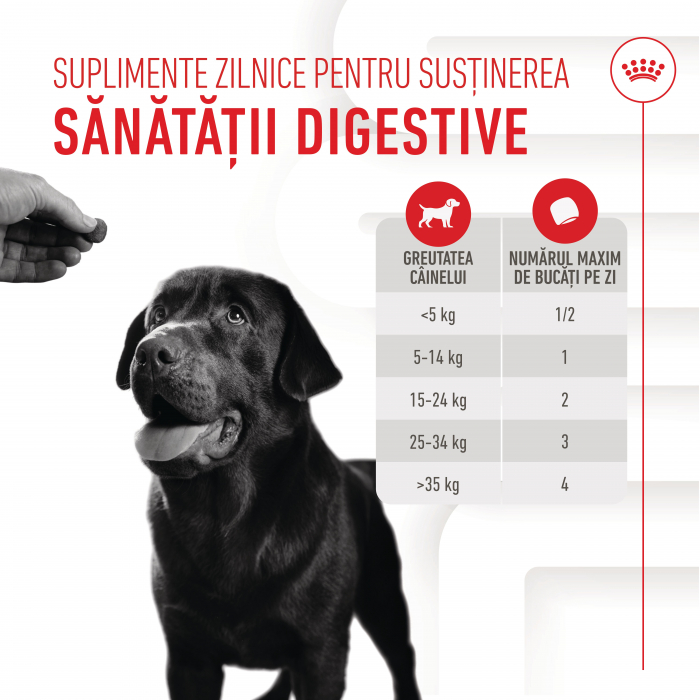 Suplimente Masticabile, ROYAL CANIN Digestion Chews Adult Supplements, 160g [5]