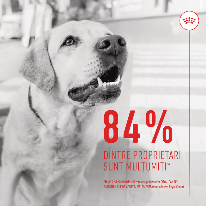 Suplimente Masticabile, ROYAL CANIN Digestion Chews Adult Supplements, 160g [6]