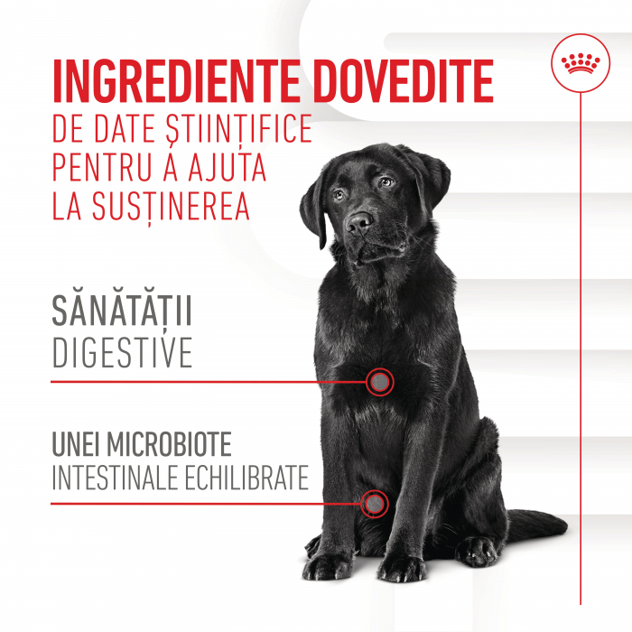 Suplimente Masticabile, ROYAL CANIN Digestion Chews Adult Supplements, 160g [7]