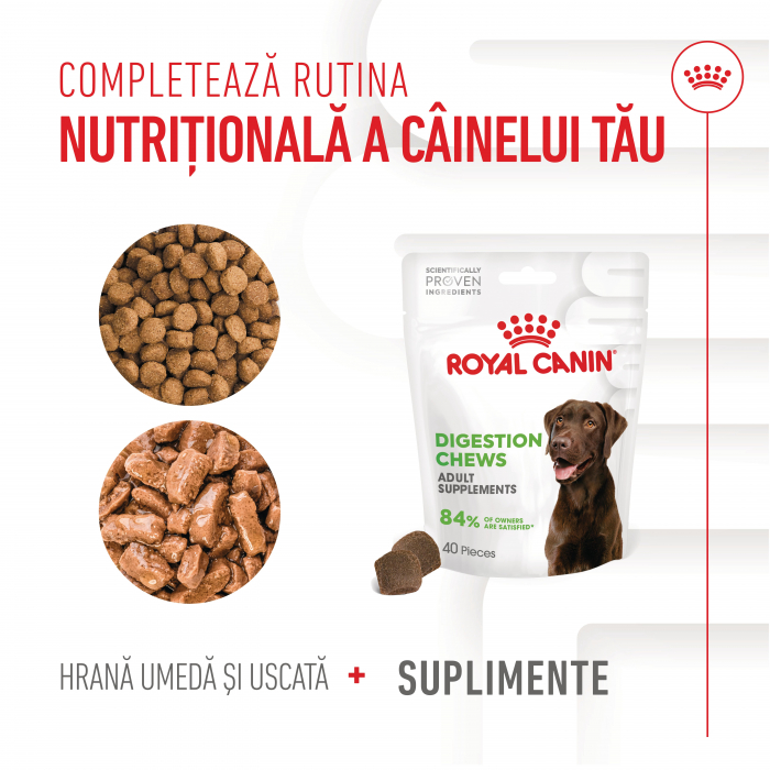 Suplimente Masticabile, ROYAL CANIN Digestion Chews Adult Supplements, 160g [4]