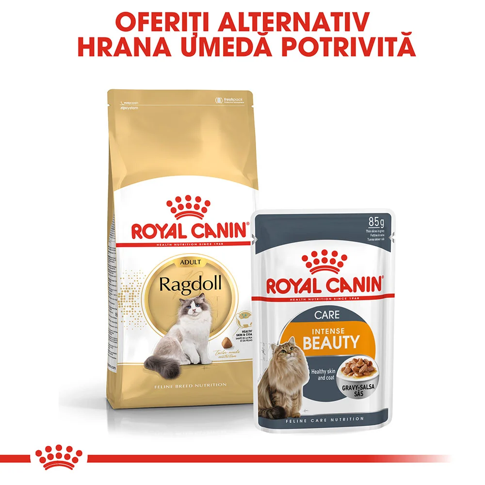 ROYAL CANIN Ragdoll Adult, hrană uscată pisică, 2kg [8]