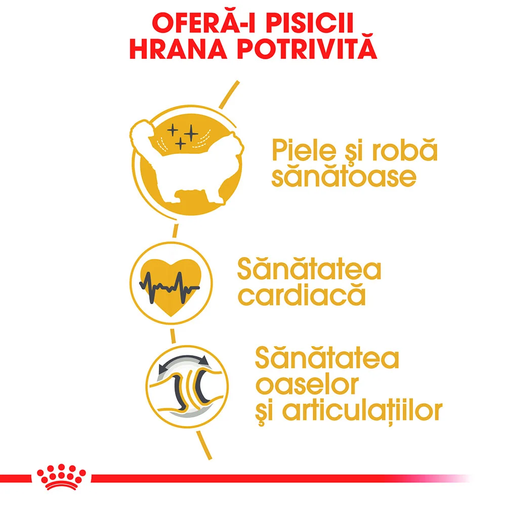 ROYAL CANIN Ragdoll Adult, hrană uscată pisică, 2kg [3]
