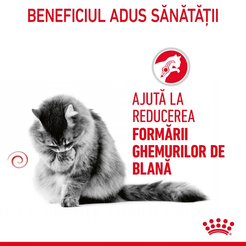 Royal Canin Hairball Care Adult, hrană uscată pisică, limitarea ghemurilor de blană, 2kg [4]