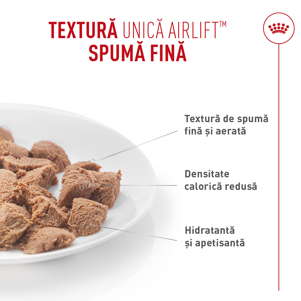 Hrană Umedă Pisică Adult, ROYAL CANIN Light Weight Care Airlift, limitarea creșterii în greutate (textură spumoasă), 85g [3]