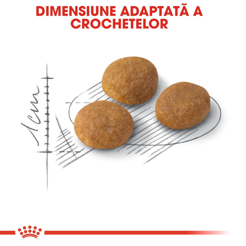 ROYAL CANIN Exigent Aroma Adult, hrană uscată pisică, pentru apetit capricios, 2kg [5]