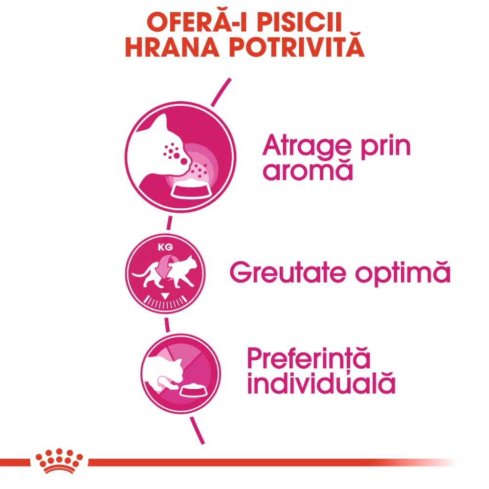 ROYAL CANIN Exigent Aroma Adult, hrană uscată pisică, pentru apetit capricios, 2kg [4]