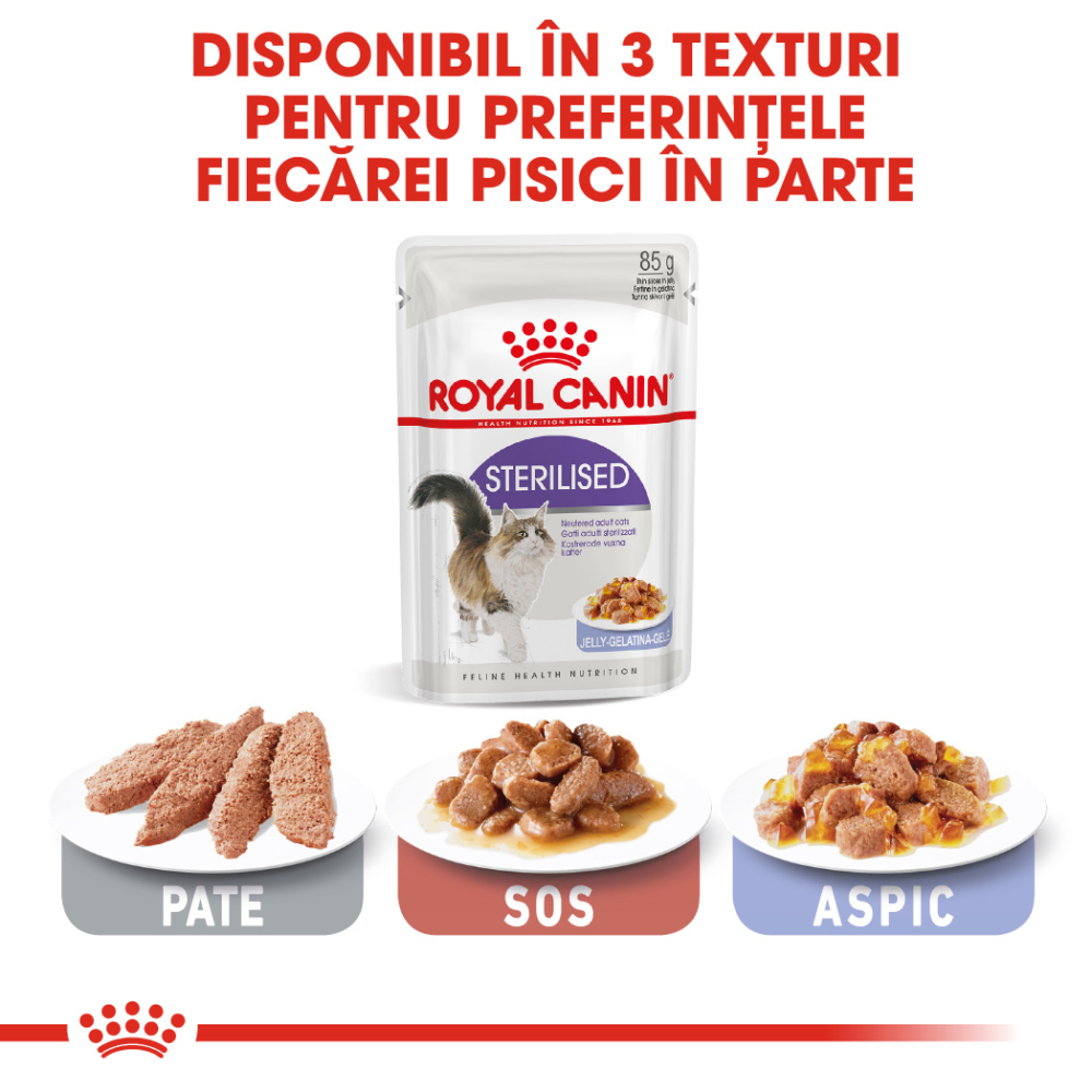 Hrană Umedă Pisică Adult, ROYAL CANIN Sterilised, (în aspic), 12x85g [5]