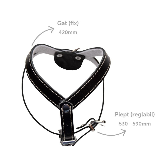 Ham caini nr2 Simplu Negru – DELISTAT [2]