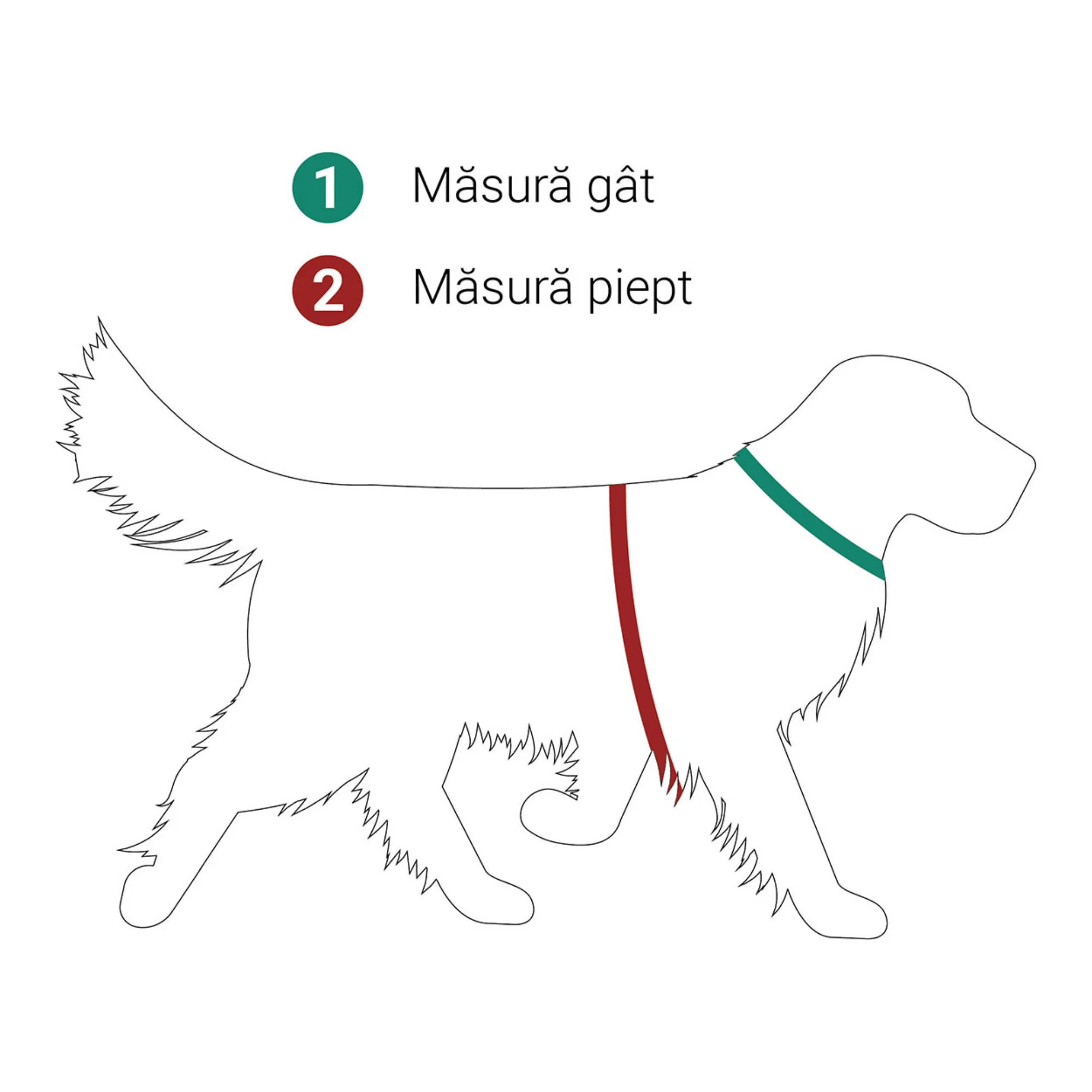 4DOG DELUXE Ham pentru Câine, Bleu, Mărimea M [2]
