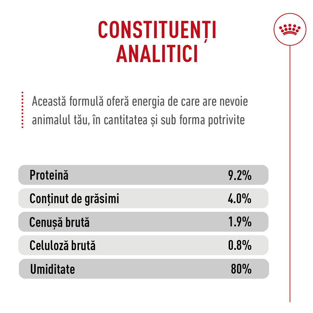 Hrană Umedă Pisică Adult, ROYAL CANIN Digestive Care Airlift, confort digestiv (textură spumoasă), 85g [4]