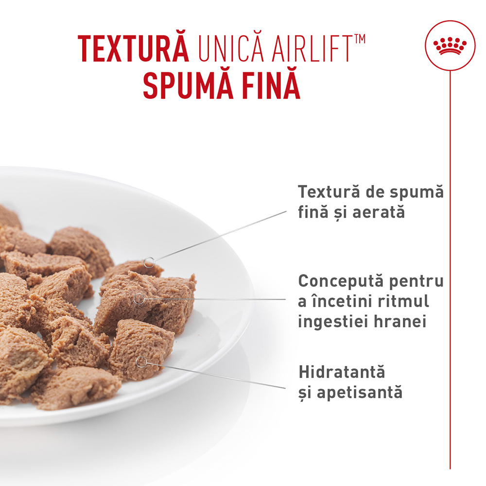 Hrană Umedă Pisică Adult, ROYAL CANIN Digestive Care Airlift, confort digestiv (textură spumoasă), 85g [3]