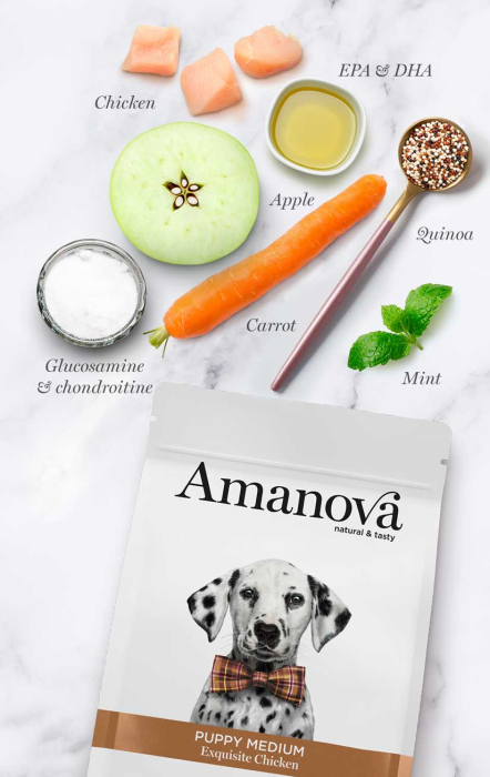 Hrană Uscată Câine Junior, AMANOVA, Hipoalergenic, Talie Medie, Pui, 2kg [3]