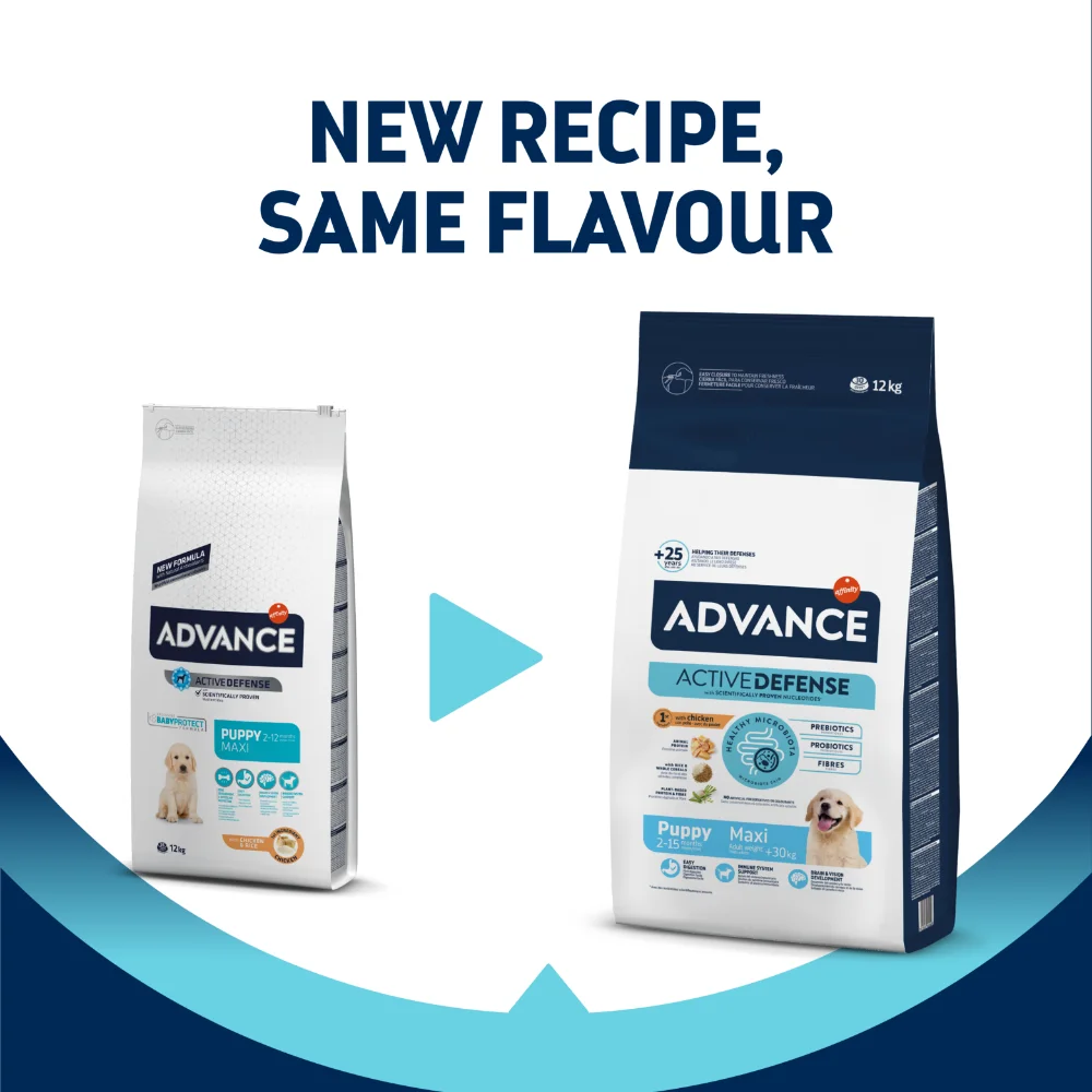 Hrana Uscata Caini ADVANCE Maxi Junior 14kg – DELISTAT [2]