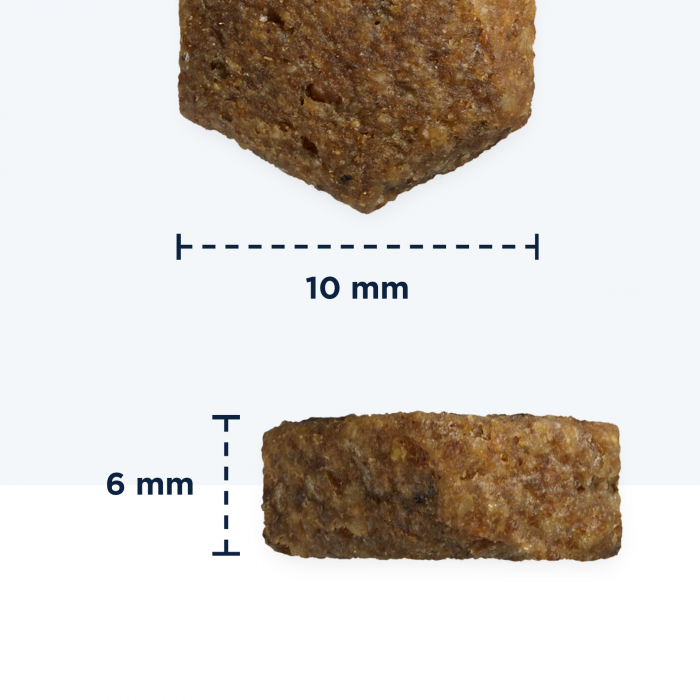 Hrana uscata Caini EUKANUBA Adult Small Chicken 2kg – DELISTAT [4]