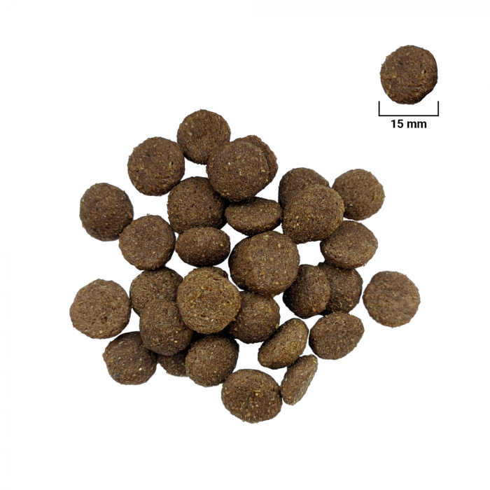 FOR DOG Hrană Uscată Câine Adult, Talie Mare, Pasăre, 10kg [2]