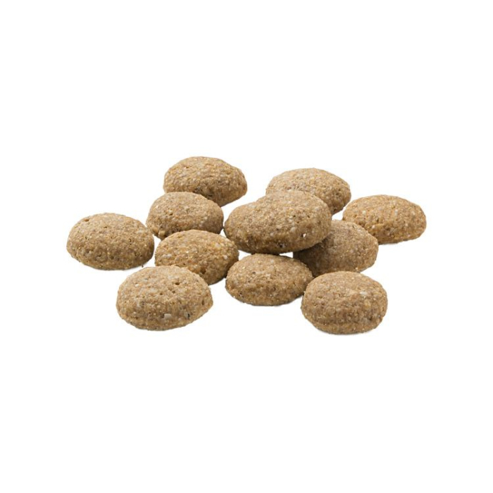 Hrana Uscata Caini MERA Pure Sensitive Insect Protein 12,5kg [2]