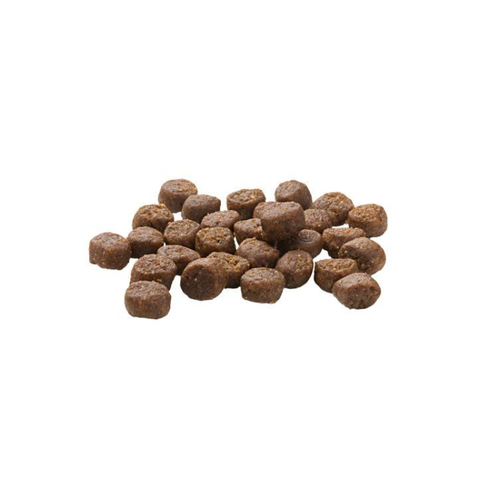 Hrana Uscata Pisici MERA Finest Fit Kitten 4kg [2]