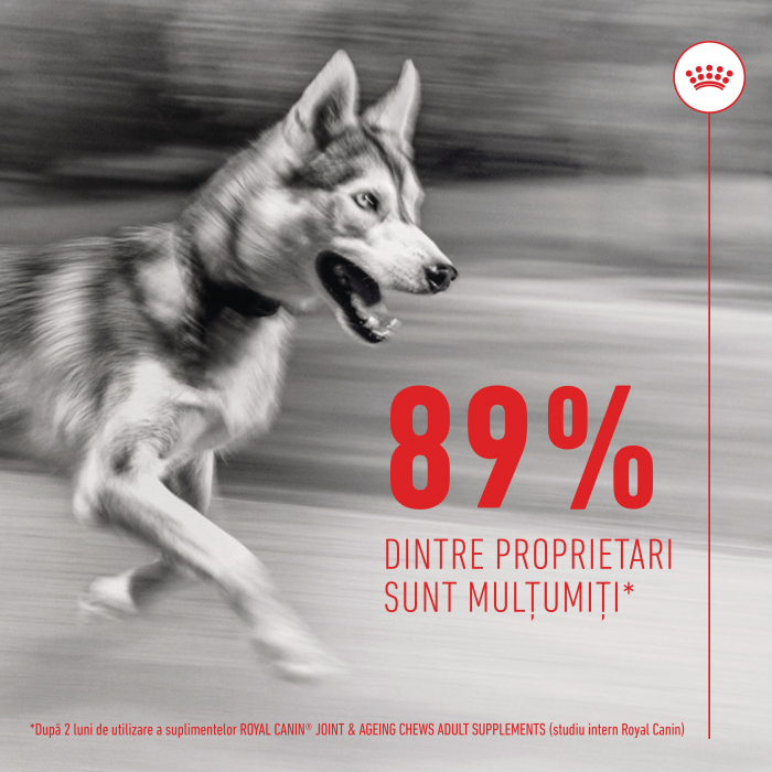 Suplimente Masticabile, ROYAL CANIN Joint & Ageing Chews Adult Supplements, 240g [6]