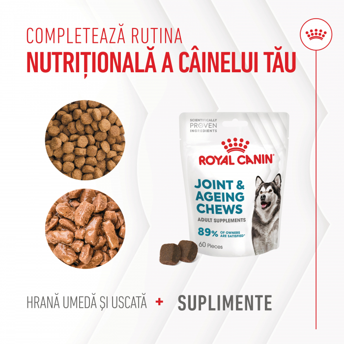 Suplimente Masticabile, ROYAL CANIN Joint & Ageing Chews Adult Supplements, 240g [4]
