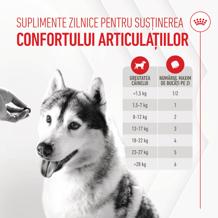 Suplimente Masticabile, ROYAL CANIN Joint & Ageing Chews Adult Supplements, 240g [5]