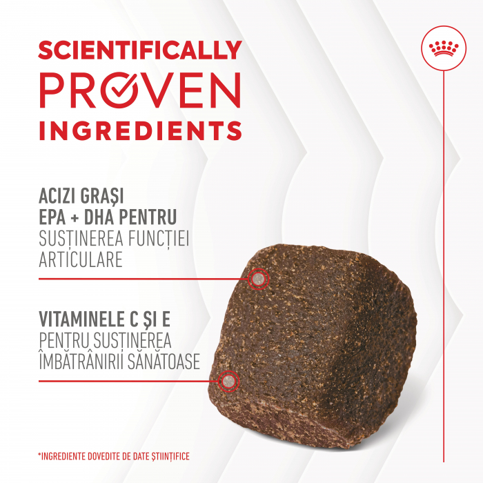 Suplimente Masticabile, ROYAL CANIN Joint & Ageing Chews Adult Supplements, 240g [3]