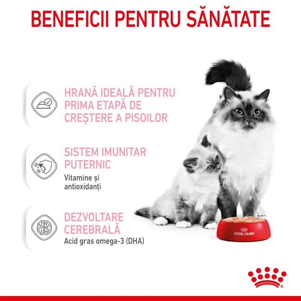 ROYAL CANIN Mother & BabyCat, hrană umedă pisică, mama si puiul (textură spumoasă), 195g [4]
