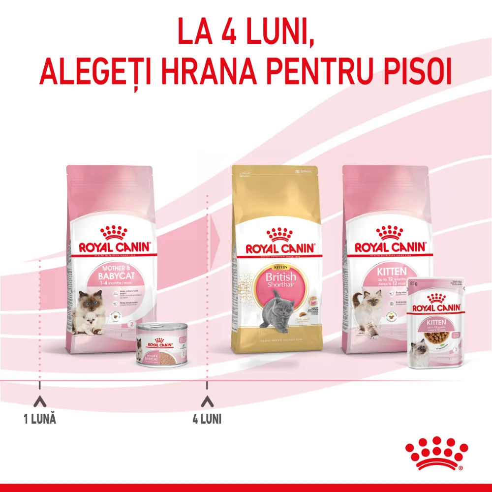 ROYAL CANIN Mother & BabyCat, hrană umedă pisică, mama si puiul (textură spumoasă), 195g [11]
