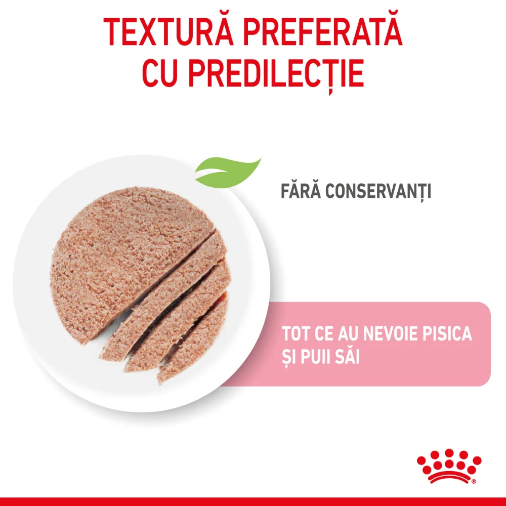 ROYAL CANIN Mother & BabyCat, hrană umedă pisică, mama si puiul (textură spumoasă), 195g [5]