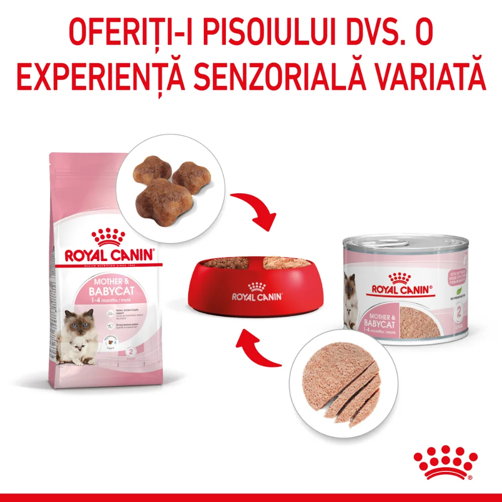 ROYAL CANIN Mother & BabyCat, hrană umedă pisică, mama si puiul (textură spumoasă), 195g [10]