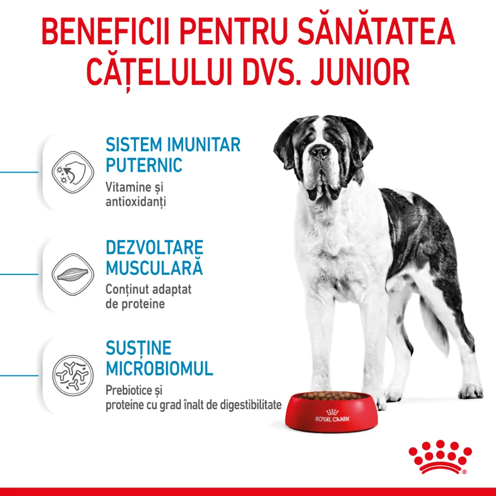Pachet Economic ROYAL CANIN Giant Junior, hrană uscată câine junior etapa 2 de crestere, 2x15kg [6]