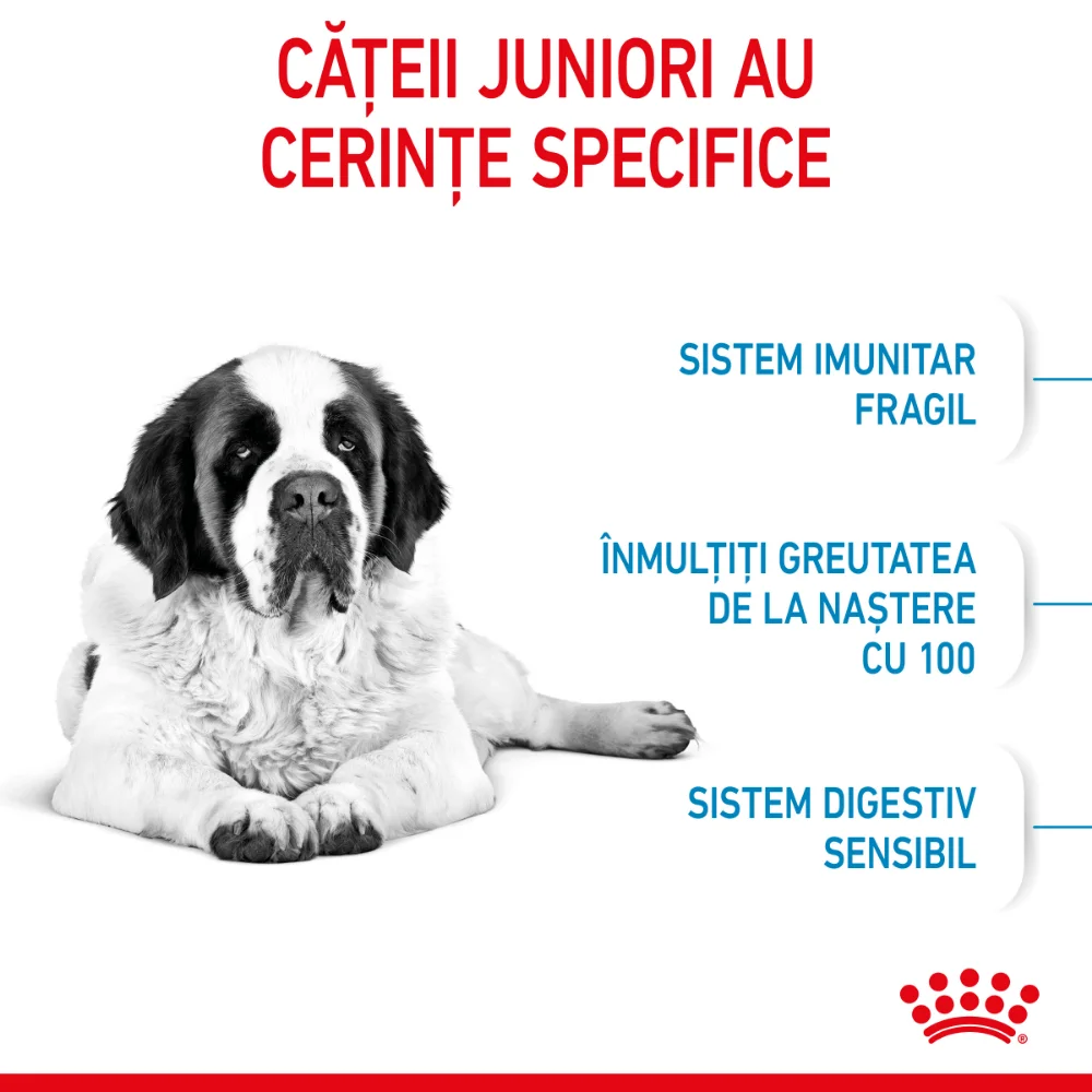 Pachet Economic ROYAL CANIN Giant Junior, hrană uscată câine junior etapa 2 de crestere, 2x15kg [4]