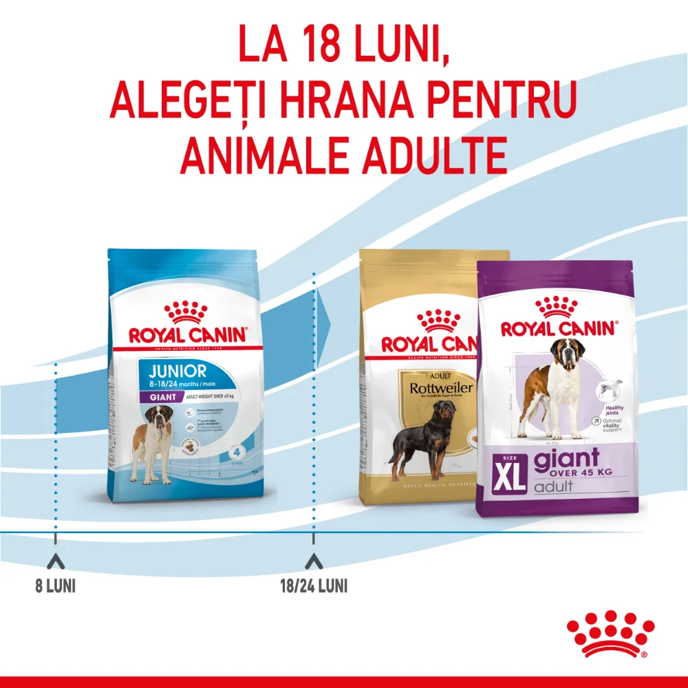 Pachet Economic ROYAL CANIN Giant Junior, hrană uscată câine junior etapa 2 de crestere, 2x15kg [10]