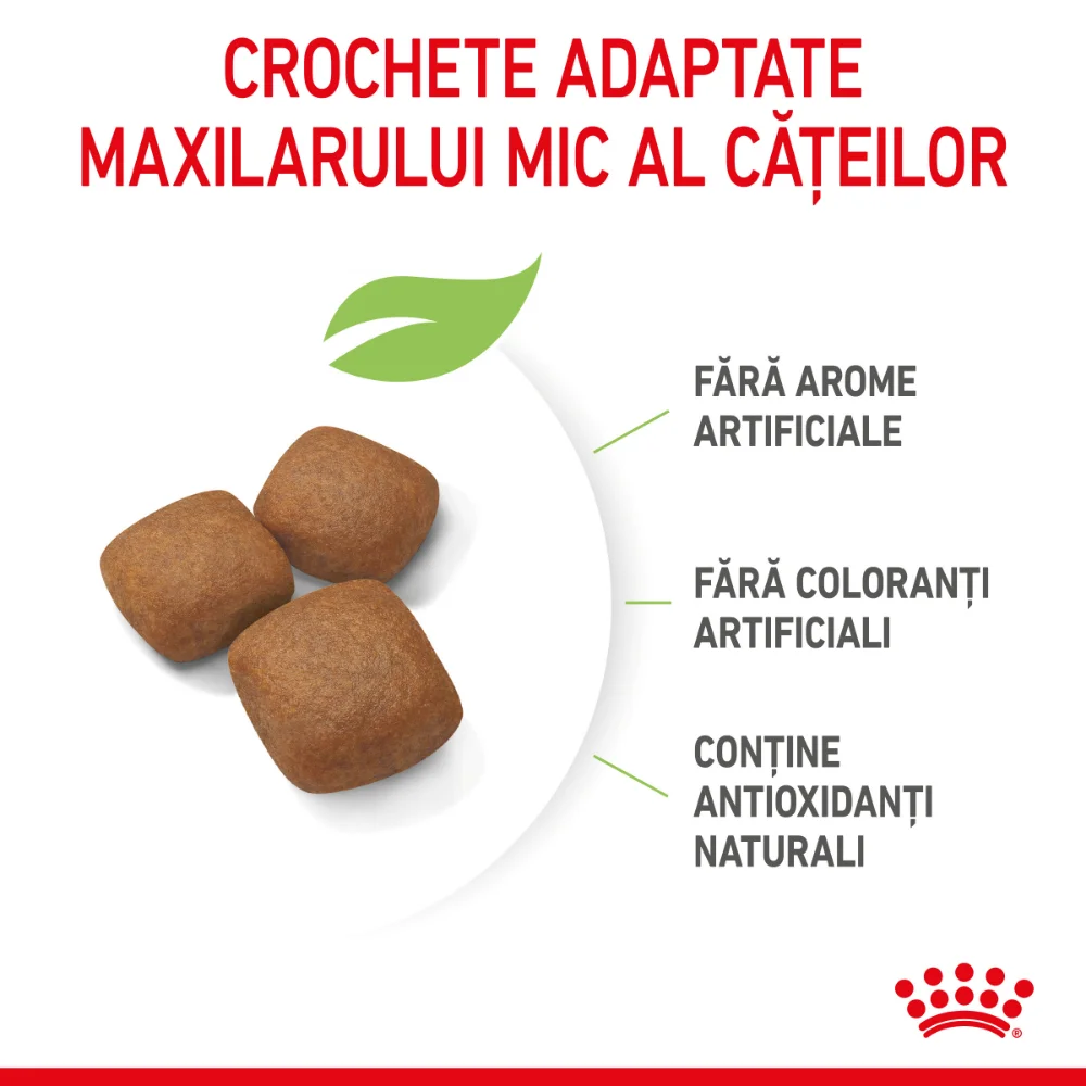 Pachet Economic ROYAL CANIN Giant Junior, hrană uscată câine junior etapa 2 de crestere, 2x15kg [5]