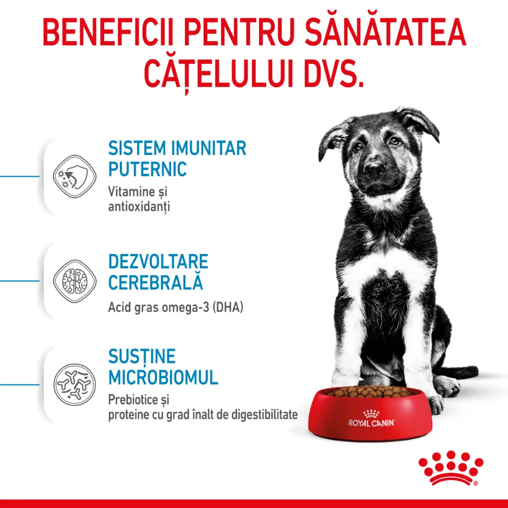 Pachet Economic ROYAL CANIN Maxi Puppy, hrană uscată câine junior, 2x15kg [6]