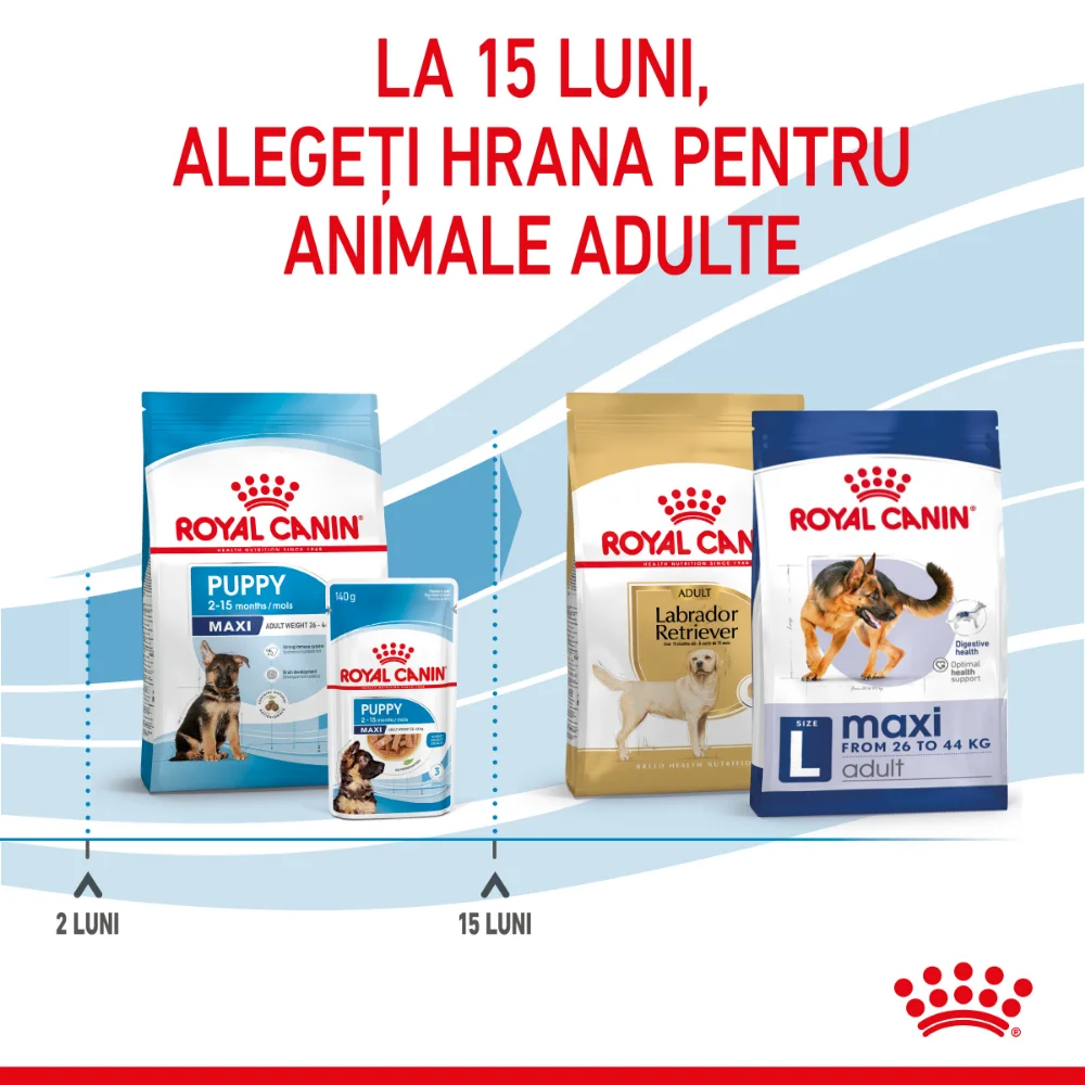 Pachet Economic ROYAL CANIN Maxi Puppy, hrană uscată câine junior, 2x15kg [11]