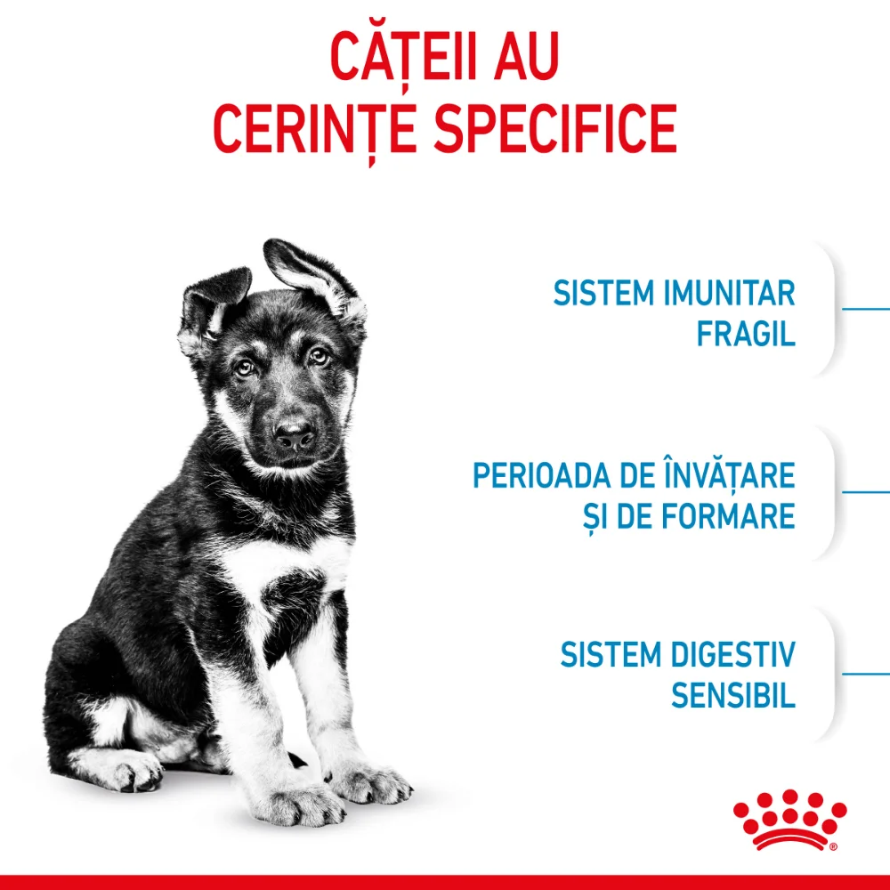 Pachet Economic ROYAL CANIN Maxi Puppy, hrană uscată câine junior, 2x15kg [4]