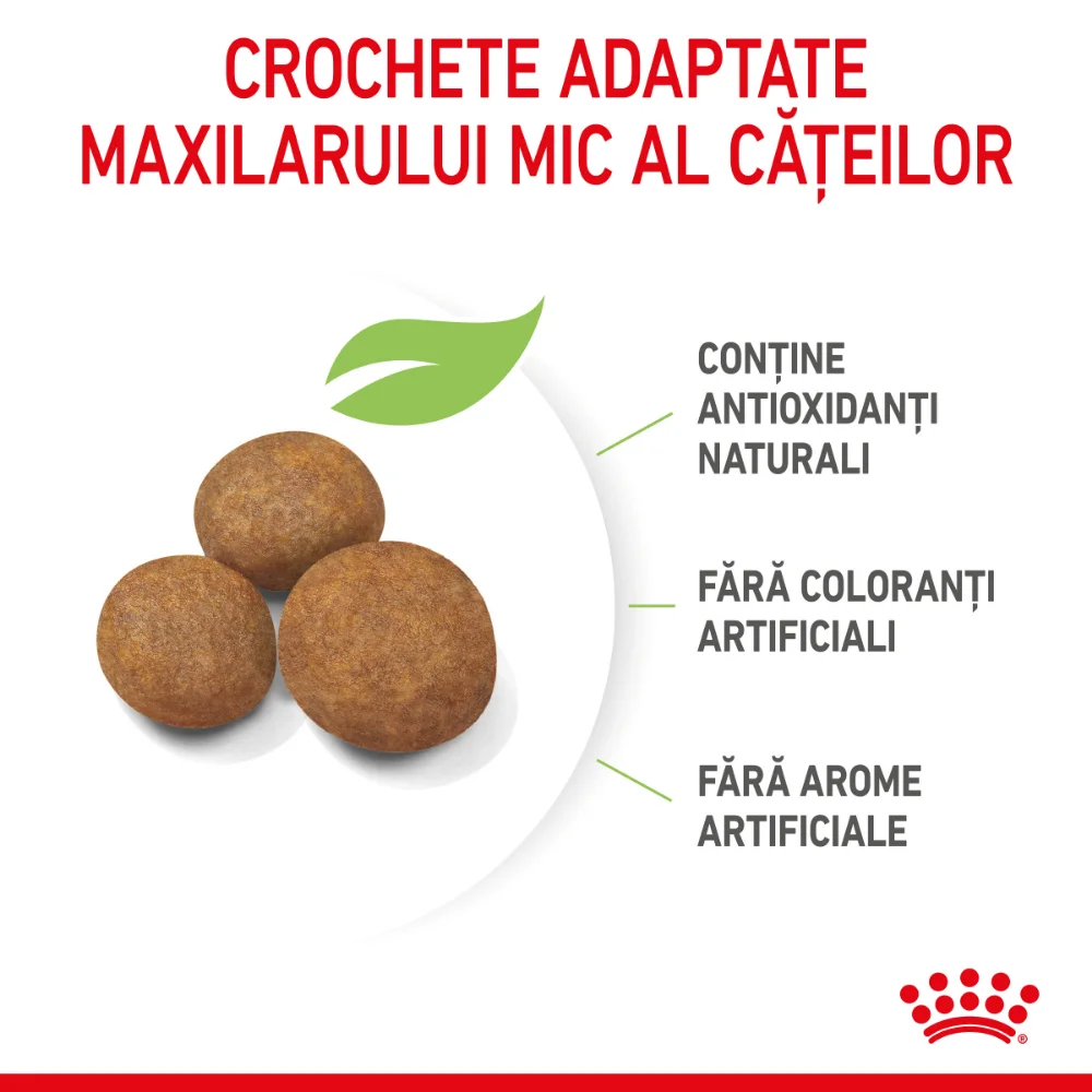 Pachet Economic ROYAL CANIN Maxi Puppy, hrană uscată câine junior, 2x15kg [5]