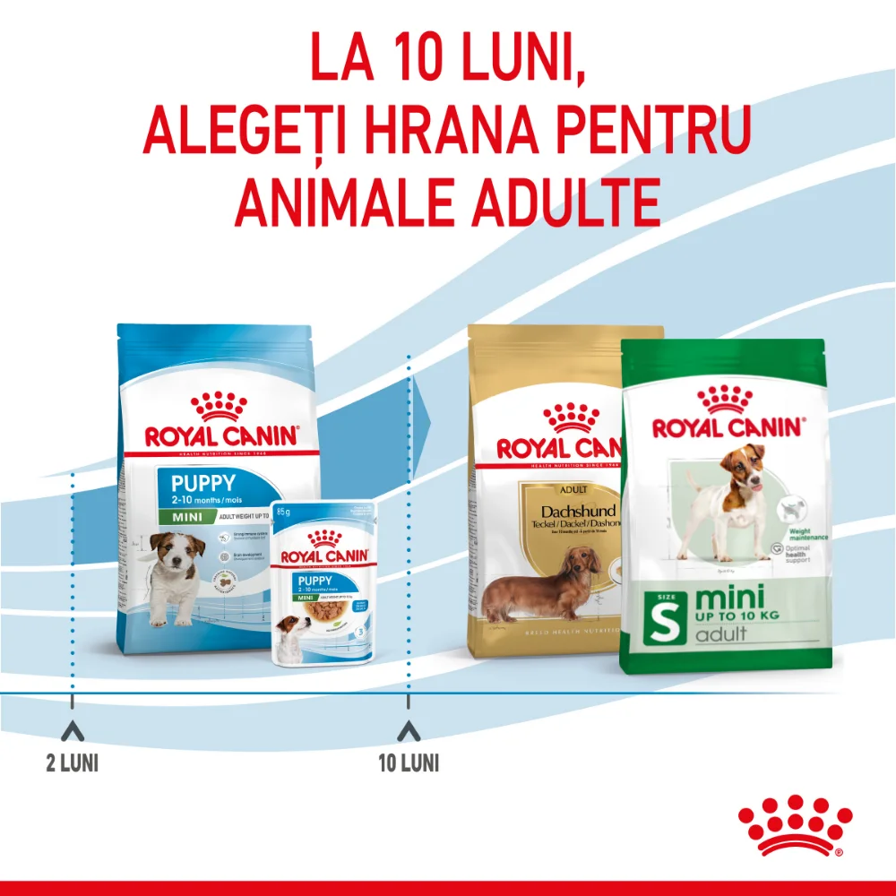 Pachet Economic ROYAL CANIN Mini Puppy, hrană uscată câine junior, 2x8kg [11]