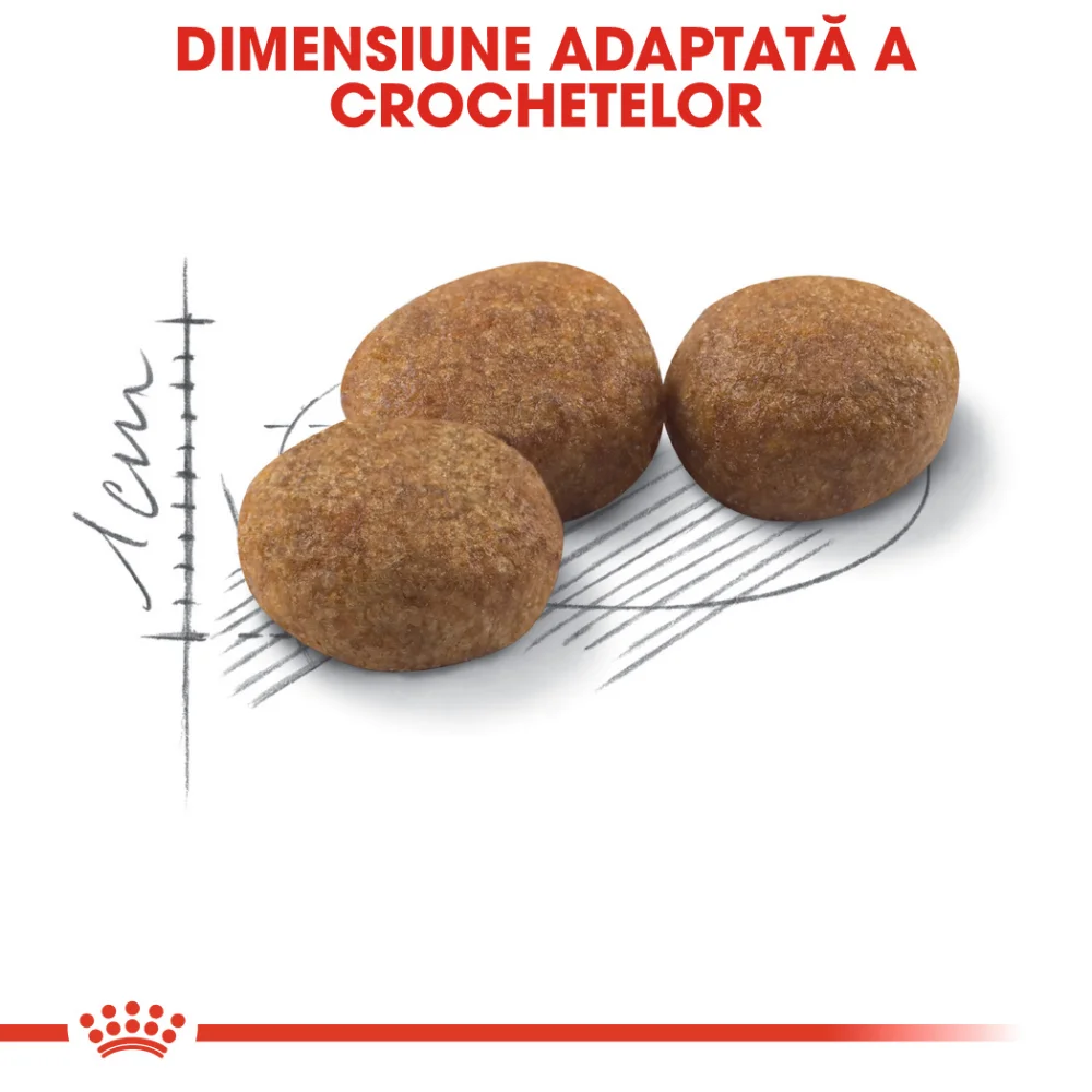 Pachet Economic ROYAL CANIN Sterilised Adult, hrană uscată pisică sterilizată, 2x10kg [5]