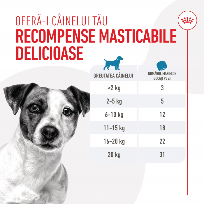 Recompense Nutriționale pentru Dresaj, ROYAL CANIN Training Treats, 8x110g [5]