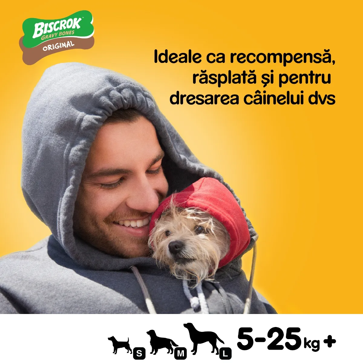 Recompense pentru Câine Adult, PEDIGREE Biscrok Gravy Bones, Biscuiți, 500g [7]