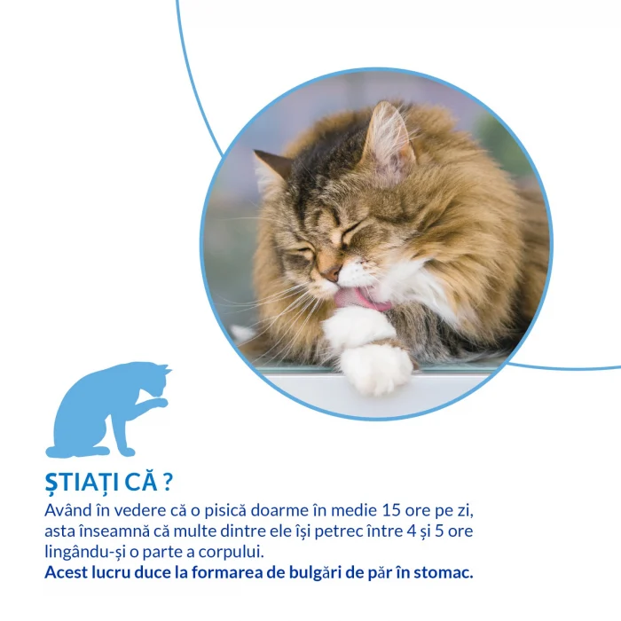 Recompense Cremoase Pisică Adult, CHURU Hairball Control, Pui, 4x14g [7]