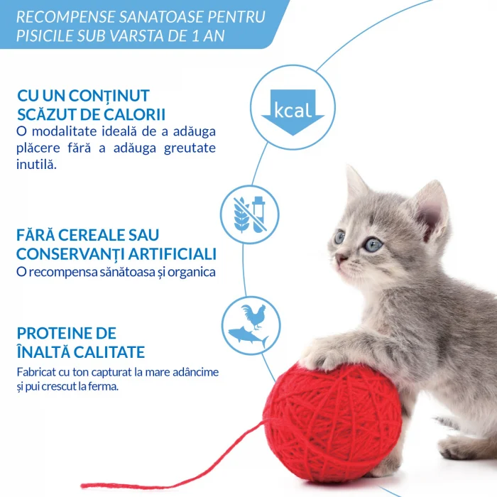 Recompense Cremoase Pisică Junior, CHURU Kitten, Pui, 4 bucăți [2]
